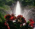 fountain at the lodge at koele - lanai
