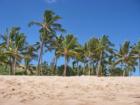 at the beach in Manele Bay, island of Lanai, Maui County Hawaii