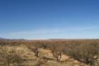 View to Duval Mine from home below Elephant Head