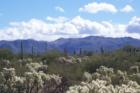 View of Dove Mountain (NW Side)