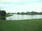 Lake in Farmington Estates In Wellington Florida