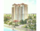 Bellamy Condo on Bayshore