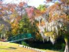 The Edisto River - just down from the Arts Center