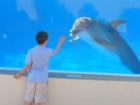 My nephew with a dolphin at Marineland