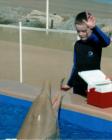 Feeding time at Marineland