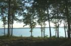 The view of Lake Marion from the shoreline of North Shore Villas and Marina. 