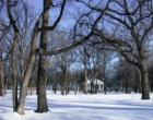 Fargo's network of beautiful city parks, open to the public year round, including winter months