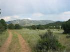 Road to the homestead