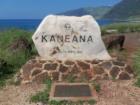 Kaneana