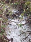 A little waterfall in Butternut Creed that my kids demand I take a picture of!