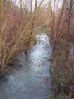 Butternut Park in the Aloha Neighborhood of Beaverton, Oregon (Butternut Creek)