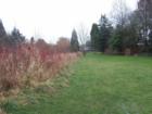 Butternut Park in the Aloha Neighborhood of Beaverton, Oregon