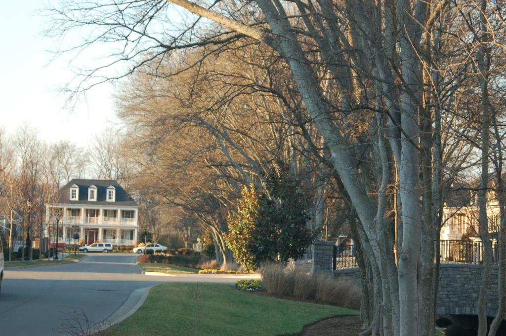 Westhaven tree lined street