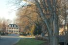 Westhaven tree lined street