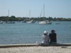 Watching sailboats in downtown Sarasota's Bayfront Park