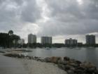 Downtown Sarasota Condos from bayfront park