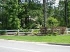 Photo by Julie Chapman, Chapman Realty
      For more information our area or a newcomers guide, call 1-877-221-0088 or visit our website at http://www.juliechapman.com. 