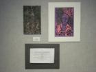 Student Art displayed durring Fine Arts weekend 2008 
      