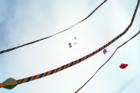 Ar120259504038408_l