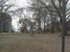 Part of the sprawling Historic University
      Bronx, New York