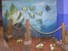 Fish mural on the Daytona Beach Ocean Walk Shoppes