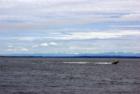 Grays Harbor Bay at Ocean Shores