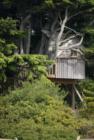 tree house at Duck Lake.  Do you know on which lot this house sits?  We'll give you a hint: we sold lot next door twice in one year...