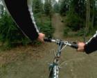 A Bikes View of Percival's Island