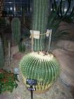 Exhibit at Meijer Gardens