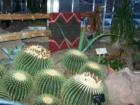 Desert Exhibit at Frederik Meijer Gardens