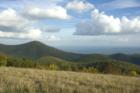 Cole Mountain