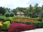 "Hollis Garden" at it's Best