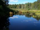 Beaver brook Haynesville, ME.
