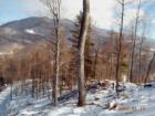 Snow covered ridge looking toward Roan Mountain