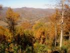 Fall Colors around Bakersville