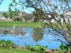 Pond at Cory Lake Isles