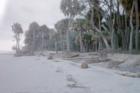 Ocean Beach at Hunting Island