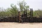 Corrals & Loading Chute