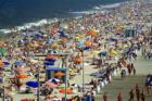 Rehoboth Beach Delaware 