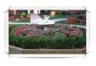 The Pet-Friendly Surrey Strathmore - White Plains, NY 10605 - in the residential area in southern White Plains. The gardens in the court yard are well maintained and provide wonderful views from inside and a nice place to stroll. 