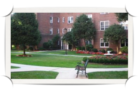 The Pet-Friendly Surrey Strathmore - White Plains, NY 10605 - in the residential area in southern White Plains.