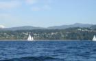 Sailing the Bay