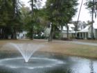 Artesian Spring fed Pond with Fountain