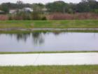 Pond in Misty Glen