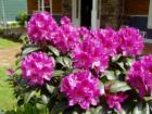 Spring and Summer are coming!