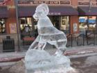Cripple Creek Ice Festival 2008 Photo Taken by Brian Lloyd
      YourRockyMountainAgent.com