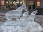 Cripple Creek Ice Festival 2008 Photo Taken by Brian Lloyd
      YourRockyMountainAgent.com