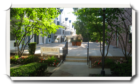 Pet-Friendly Condo Complex - White Oak - is in the Highlands residential neighborhood, but borders the downtown - 36 Greenridge Ave., White Plains, NY 10605.