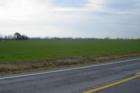 Hughesville, MD Field Route 231 West of Bypass