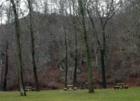 Riverfront Picnic Area
